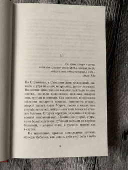 Александра Николаенко: Муравьиный бог. Реквием