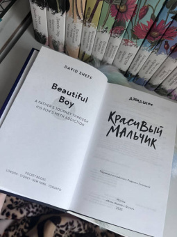 Дэвид Шефф: Красивый мальчик. Правдивая история отца, который боролся за сына