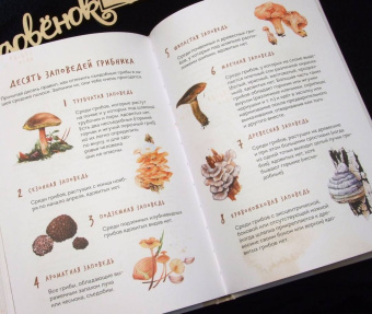 Михаил Вишневский: Грибы. Атлас-определитель