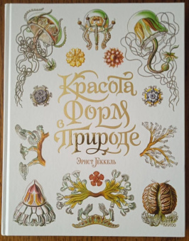 Эрнест Геккель: Красота форм в природе