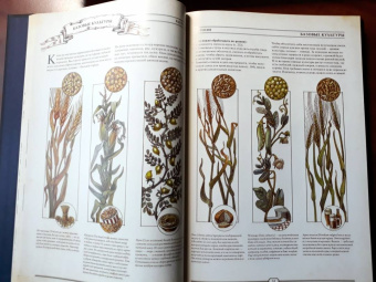 The Book. Как создать цивилизацию заново
