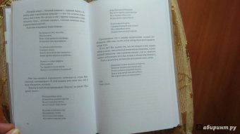 Игорь Северянин: Уснувшие весны. Критика. Мемуары. Скитания