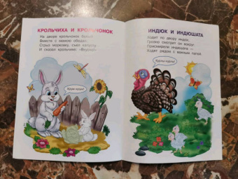 Ирина Шестакова: Домашние животные