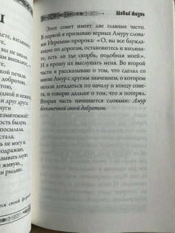 Данте Алигьери: Новая жизнь