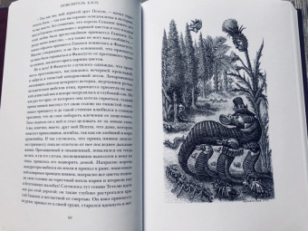 Гофман Эрнст Теодор Амадей: Повелитель блох