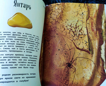 Бен Хоар: Чудеса природы. Энциклопедия