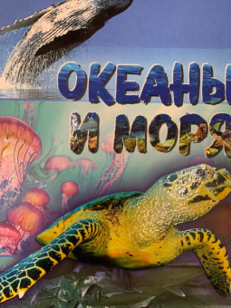 Анна МакРей: Океаны и моря. Виртуальная реальность