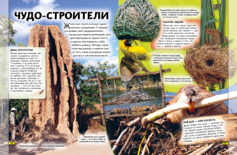 Бедуайер, Паркер, Фарндон: Животные. Книга юного эрудита