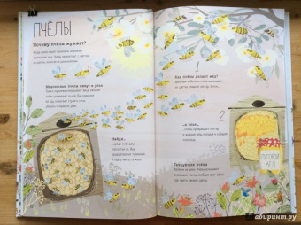 Зоммер, Тейлор: Большая книга букашек