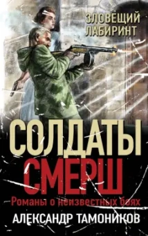 Александр Тамоников: Зловещий лабиринт