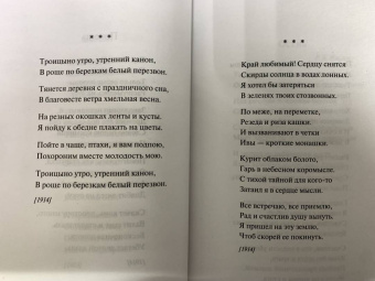 Сергей Есенин: Чёрный человек