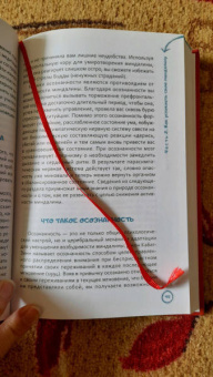 Мелани Гринберг: Стрессоустойчивый мозг. Управляйте эмоциональной реакцией с помощью осознанности