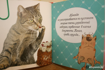 Евгения Гюнтер: Котики