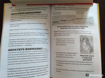Андрей Шляхов: Биология на пальцах