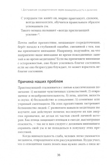 Шайла Катрин: Путь к безграничной мудрости. Практическое руководство по освоению джханы и випассаны