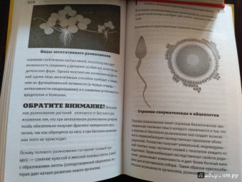 Андрей Шляхов: Биология на пальцах