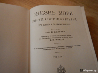 К. Келлер: Жизнь моря