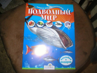 Юлия Школьник: Подводный мир. Книжки для любознательных