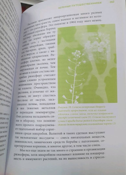 Сюзанна Ведлих: Книга слизи. Скользкий след в истории Земли