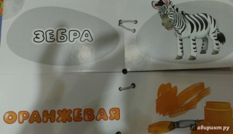 Найди половинки. Цвета и краски