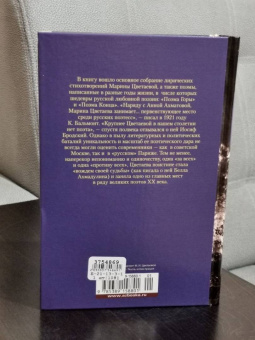 Марина Цветаева: Волшебный фонарь