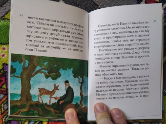 Ольга Шульчева-Джарман: Житие преподобного Паисия Святогорца в пересказе для детей