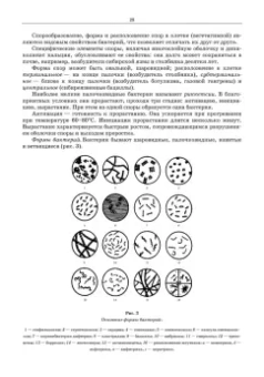 Мишанин, Касьянов, Запорожский: Рациональная переработка мясного и рыбного сырья. Учебное пособие