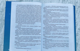 Рут Озеки: Книга формы и пустоты