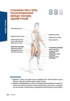Майкл Хартл: Анатомия силовых тренировок с гирями