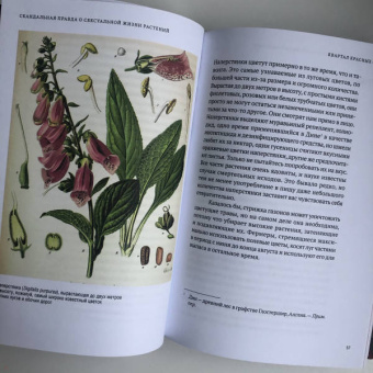 Майкл Аллаби: Скандальная правда о сексуальной жизни растений