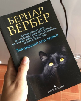 Бернар Вербер: Завтрашний день кошки