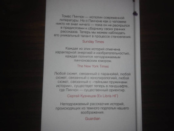 Томас Пинчон: Нерадивый ученик