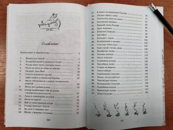 Эрнест Сетон-Томпсон: Рольф в лесах