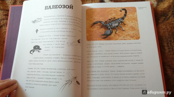 Игорь Акимушкин: Исчезнувший мир