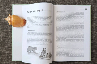 Ольга Сухова: Слушать интересно! Как и зачем учить ребенка слушать?