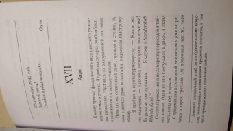 Меган Холлоуэй: Я уйду с рассветом