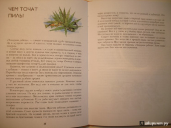 Николай Осипов: Заколдованное дерево