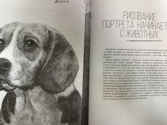 Егор Матита: Портреты. Карандашные техники достижения реализма