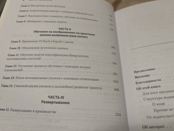 Стивенс, Виман, Антига: PyTorch. Освещая глубокое обучение