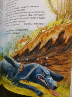 Сергей Духин: Приключения лисёнка Джимми. Маленький храбрец