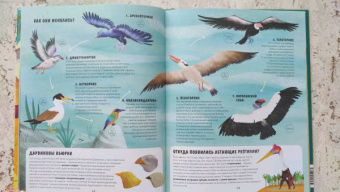 Дуниа Рахван: Эволюция. Как изменилась жизнь за миллиарды лет