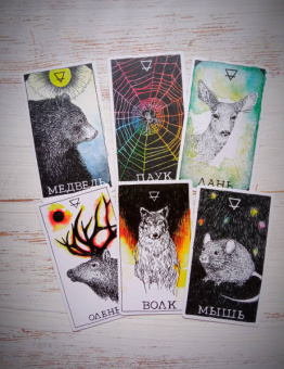 Ким Кранс: The Wild Unknown Animal Spirit. Дикое Неизвестное тотемное животное. Колода-оракул (63 карты и рук.)