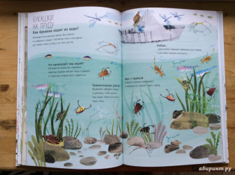 Зоммер, Тейлор: Большая книга букашек