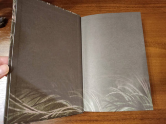 Эллисон Сафт: Особо дикая магия