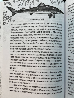 Борис Сергеев: Тайны океана