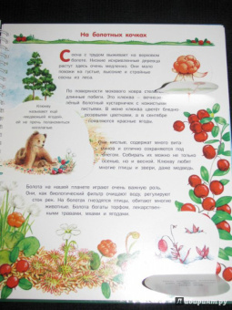 Татьяна Елумеева: Растения