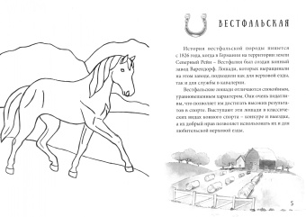 Юлия Адалева: Породы лошадей