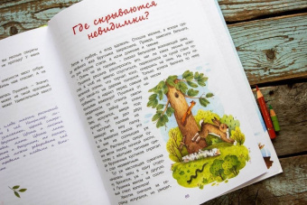 Дороченкова, Кравчук: Лесные секреты