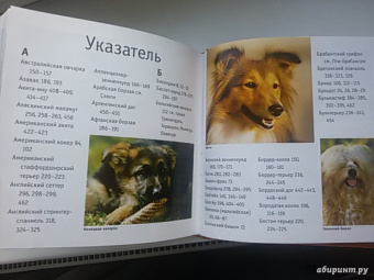 Собаки. 1001 фотография