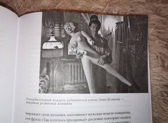 Гощило, Гощило: Выцветание красного. Бывший враг времен Холодной войны в русском и американском кино 1990-2005 годов